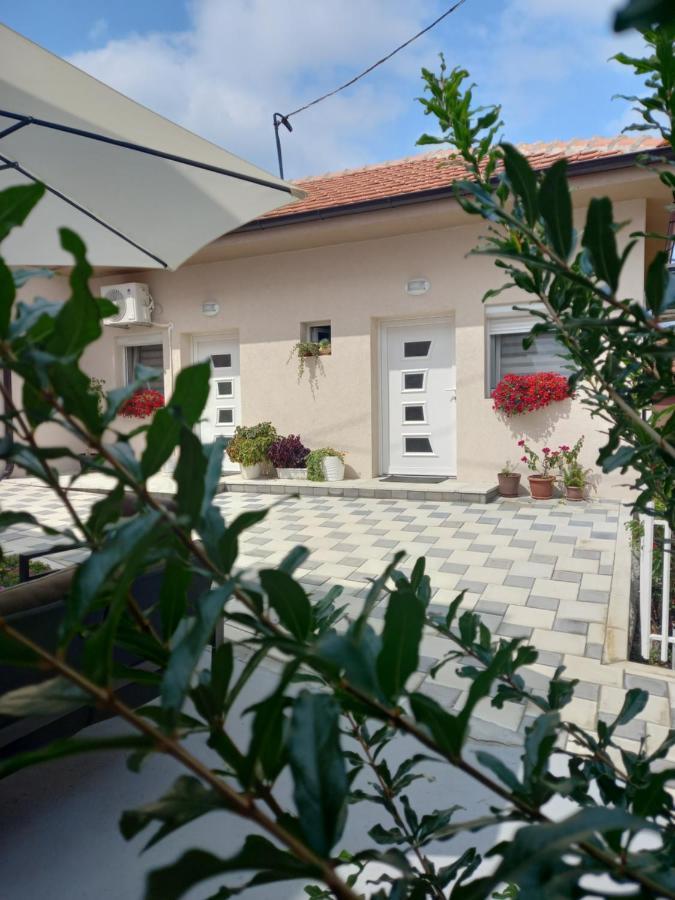 Leda Apartmani 斯梅代雷沃 外观 照片
