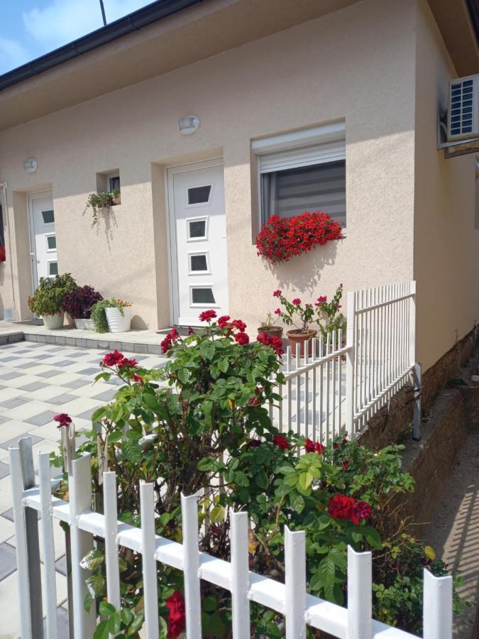 Leda Apartmani 斯梅代雷沃 外观 照片