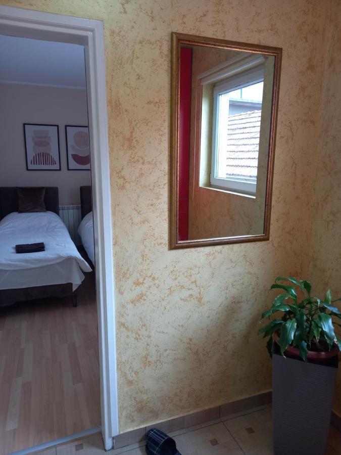 Leda Apartmani 斯梅代雷沃 外观 照片