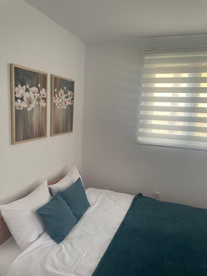 Leda Apartmani 斯梅代雷沃 外观 照片