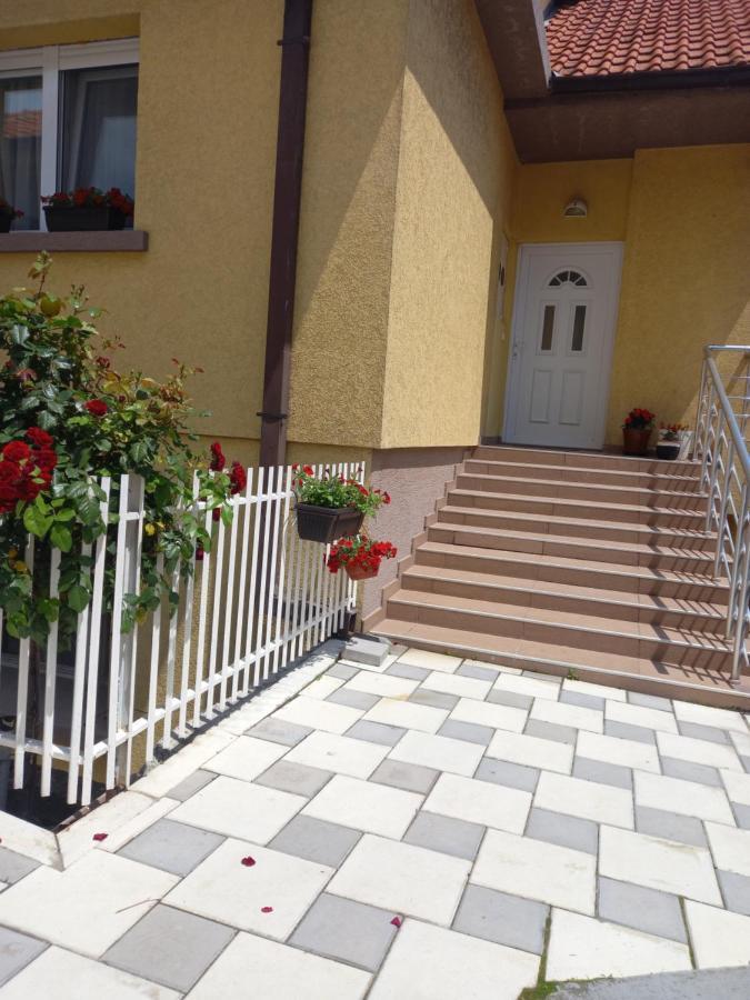 Leda Apartmani 斯梅代雷沃 外观 照片
