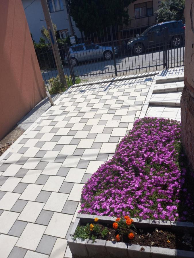 Leda Apartmani 斯梅代雷沃 外观 照片
