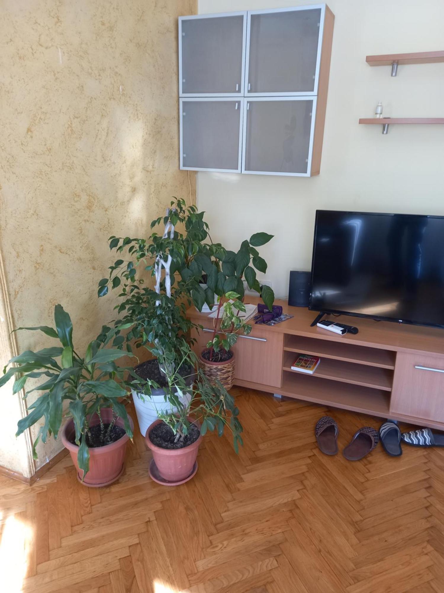 Leda Apartmani 斯梅代雷沃 外观 照片
