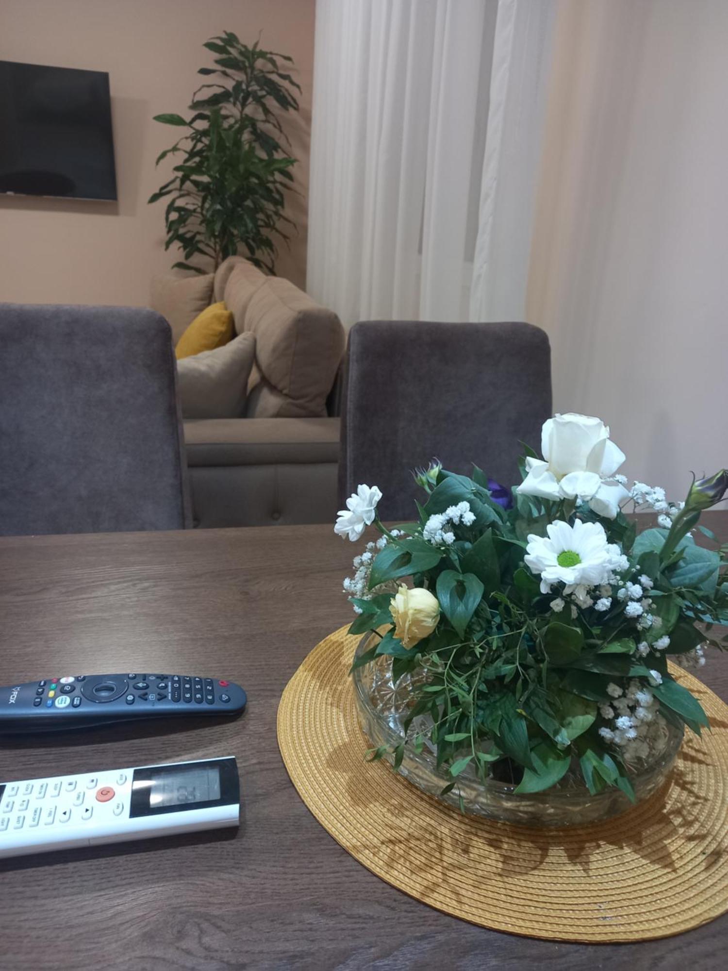 Leda Apartmani 斯梅代雷沃 客房 照片